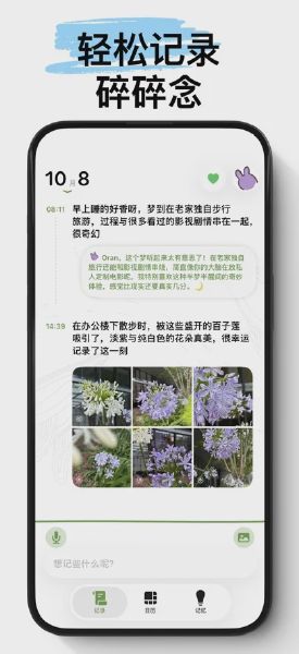 心光